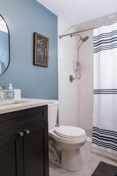فيلا House Near Tampa Zoo And Busch Gardens, Free High Speed Wifi المظهر الخارجي الصورة