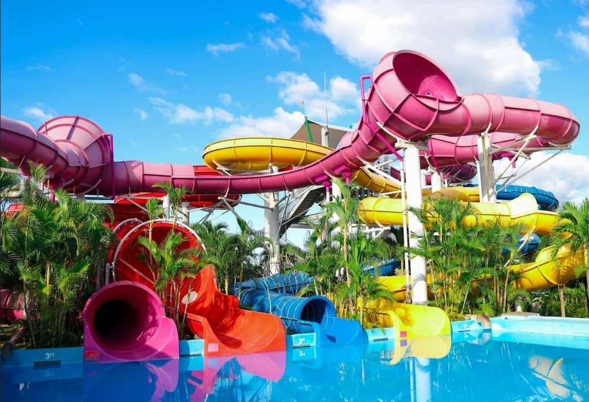 فيلا House Near Tampa Zoo And Busch Gardens, Free High Speed Wifi المظهر الخارجي الصورة