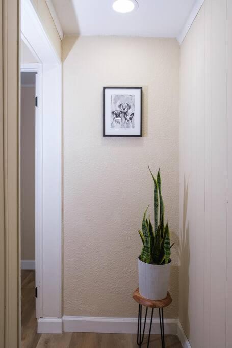 فيلا House Near Tampa Zoo And Busch Gardens, Free High Speed Wifi المظهر الخارجي الصورة